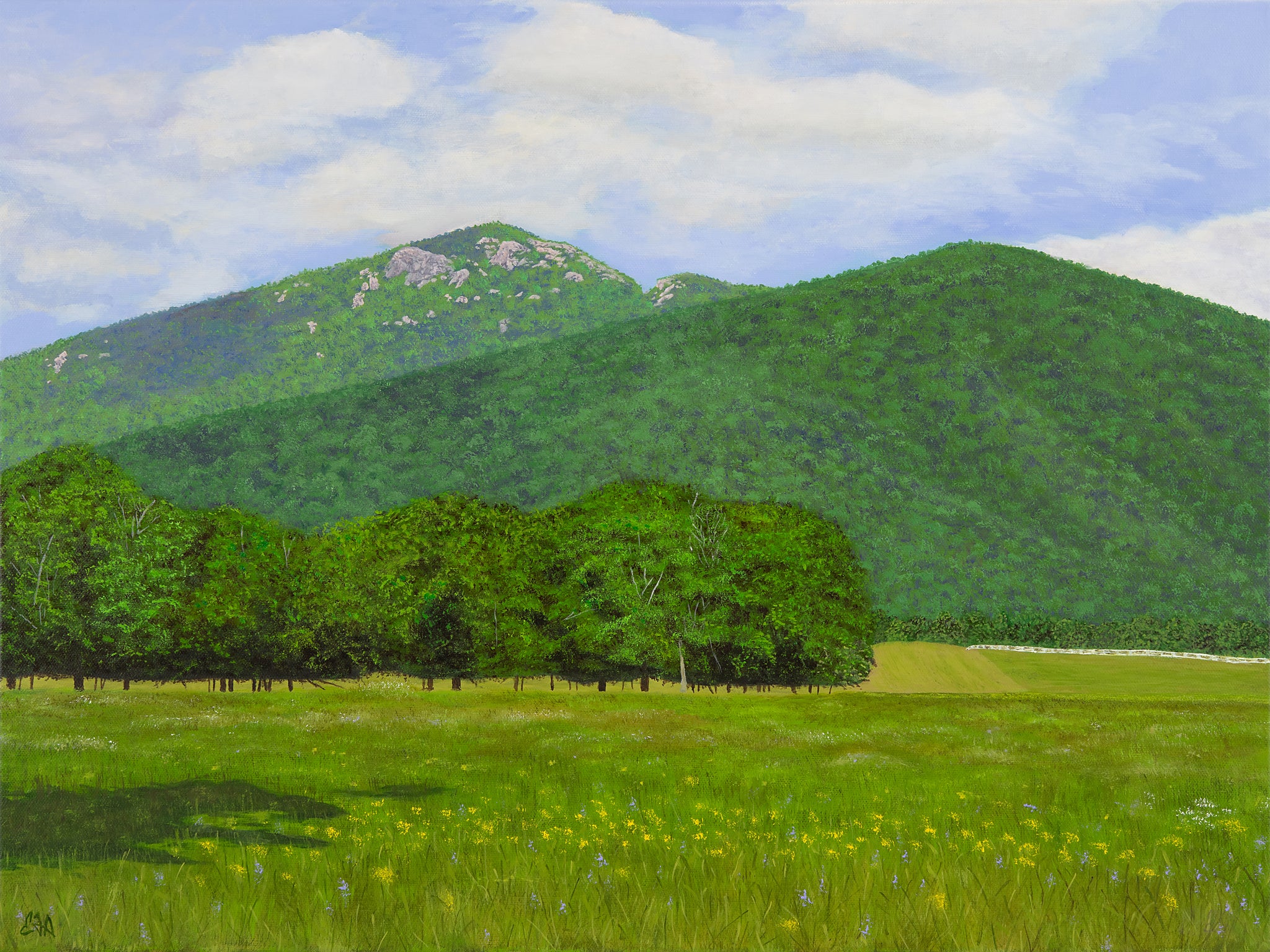 "Summer at Old Rag" Open Edition Print