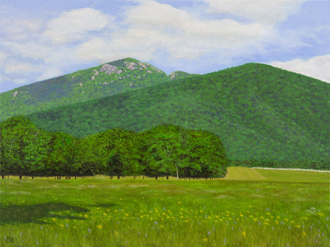 "Summer at Old Rag" Open Edition Print